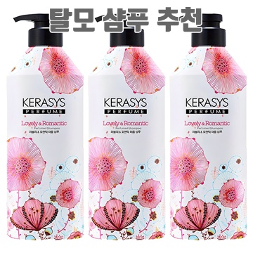 최고의 샴푸 추천과 사용법으로 건강한 머릿결 만들기