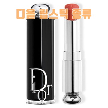 디올 립스틱 추천과 발색 리뷰로 완벽한 뷰티 선택하기