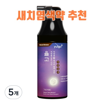 다양한 새치염색약 추천과 선택 팁 안내