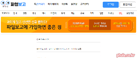 파일보고 홈페이지 미리보기